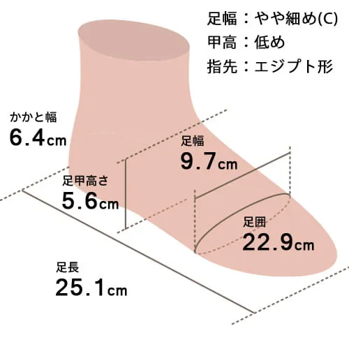 足の形イメージ