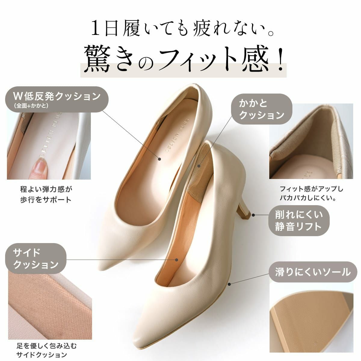 ゴールド　猫足パンプス　Mサイズ　箱付き ポインテッドトゥパンプス6cmヒール レディース | 《公式》レディース