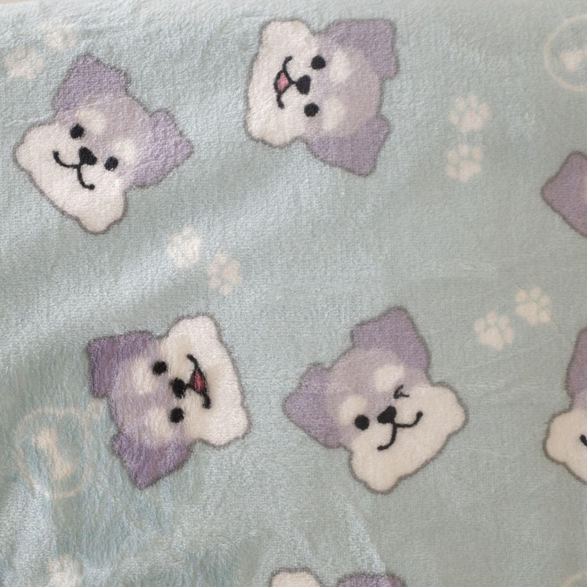 102(シュナウザー)