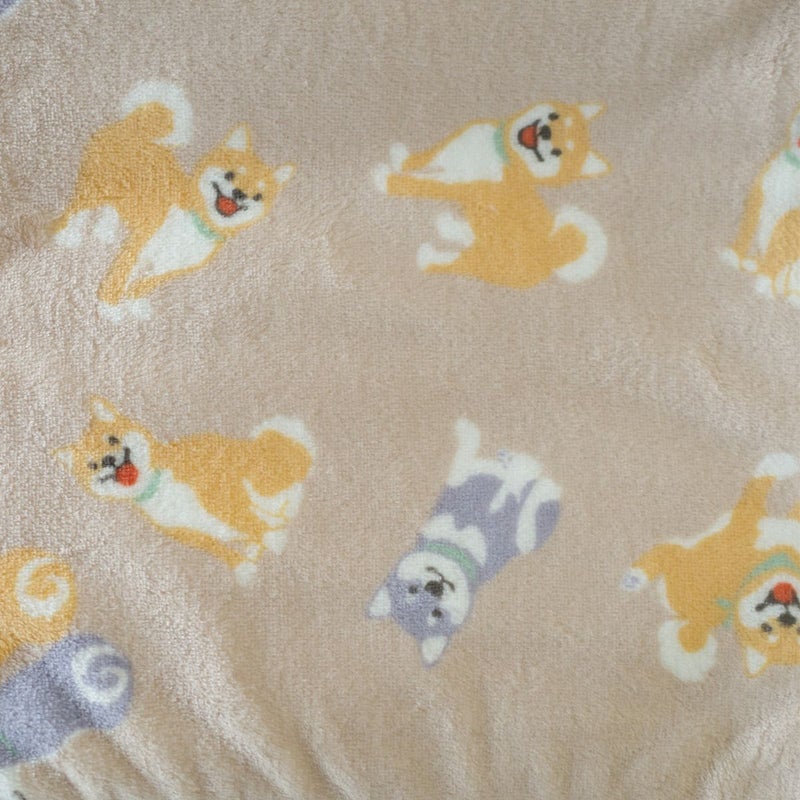103(柴犬)