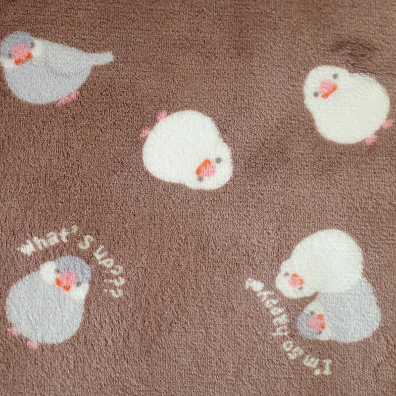 110(文鳥)